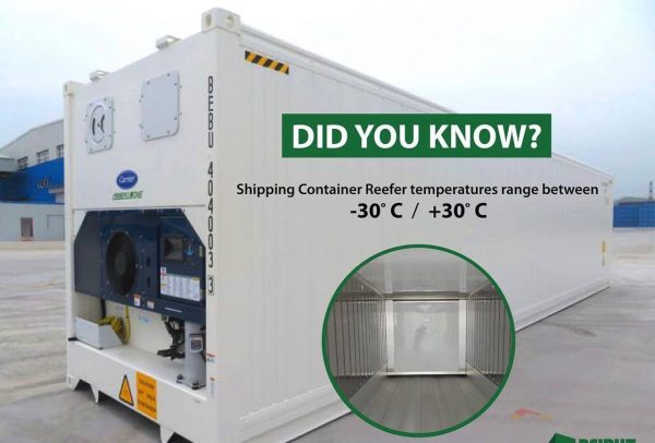 Buy the Best Refrigerated Containers for Sale | Premium Cooling Solutions