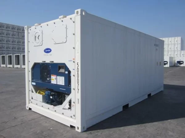 2 Trip Cold Storage Refrigerated Containers For Sale